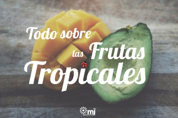 frutas tropicales